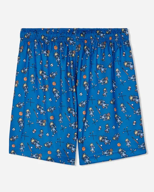 GOAT USA Boy's Sports AOP Mesh Shorts