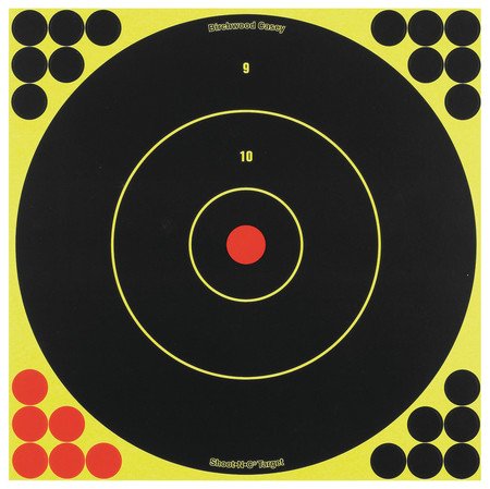 Birchwood Casey BWC Shoot-N-C 12 Inch Round Bullseye 5 Targets 120 Pasters