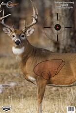 Birchwood Casey Dirty Bird PreGame Animal Targets