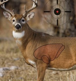 Birchwood Casey Dirty Bird PreGame Animal Targets