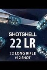 CCI CCI 22LR Shotshell 1/15oz #12 Shot