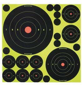 Birchwood Casey BWC Shoot-N-C Targets Variety Pack 50 Targets 50 Pasters