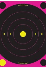 Birchwood Casey BWC Shoot-N-C Pink Reactive Target 8 Inch Bullseye 30 Per Package