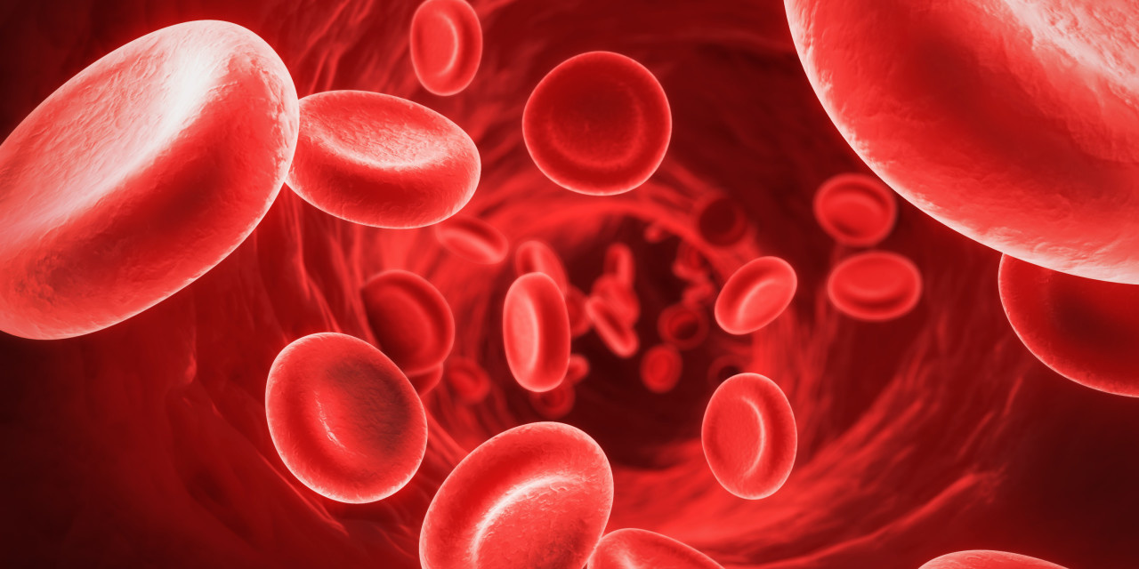 Giving Up the Red Blood Cells