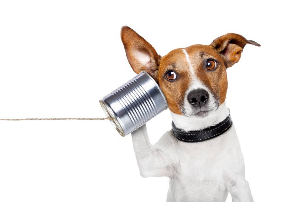 Tin Can Telephones are Where It's At