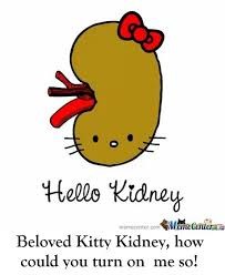 You Gotta be Kidney me?!?!