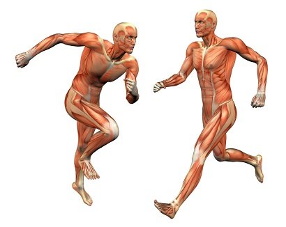 Fascial Dissection Part 2: A Week of Once You Cut it Off You Can't Put it Back