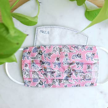 Mask + 10 Filters + Pouch