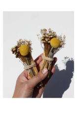 Ecuadorian Palo Santo + Quartz Crystal Bundle