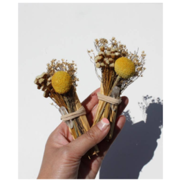 Ecuadorian Palo Santo + Quartz Crystal Bundle