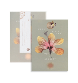 Hibiscus Birthday Greeting Card