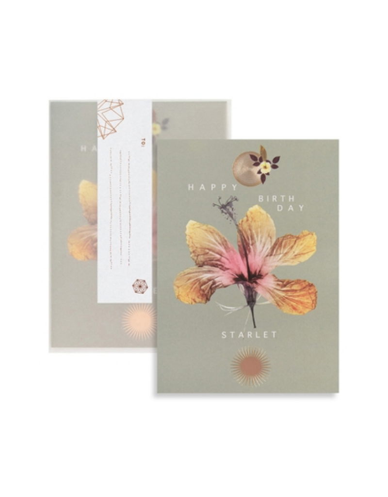 Hibiscus Birthday Greeting Card