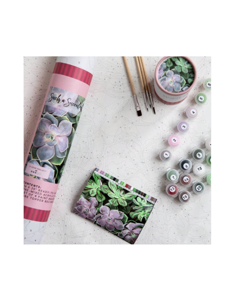 Pink Picasso KitsSuch a Succulent Printed Canvas