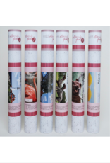 Frannie Flamingo Printed Canvas