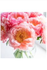 Summer Sorbet Printed Canvas