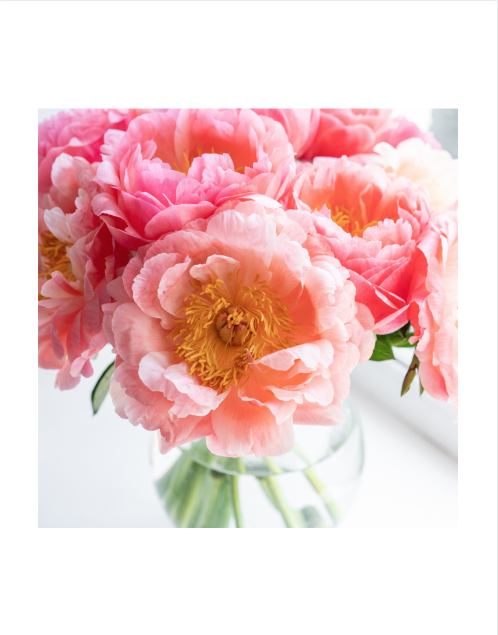 Summer Sorbet Printed Canvas