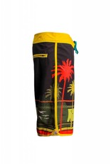 Big Wave Dave BWD Palm Tree Boardshorts