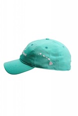 Big Wave Dave BWD Est. 2011 Hat Seafoam Low Profile