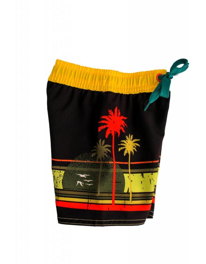 Big Wave Dave BWD Palm Tree Toddler Boardshorts