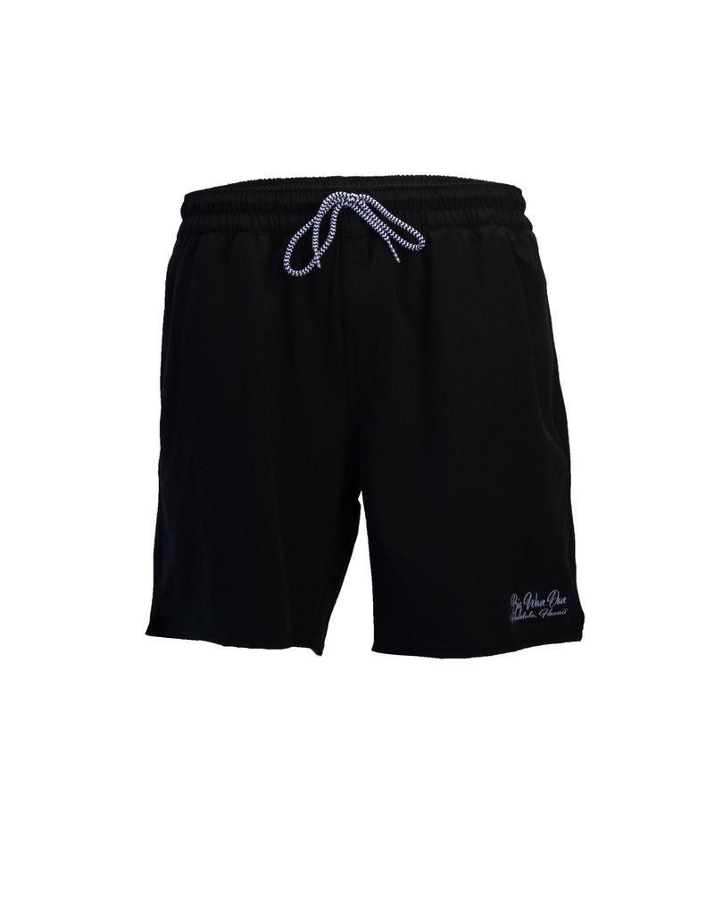 Big Wave Dave BWD Ace Boardshorts