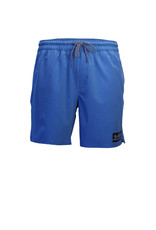 Big Wave Dave BWD Ace Boardshorts