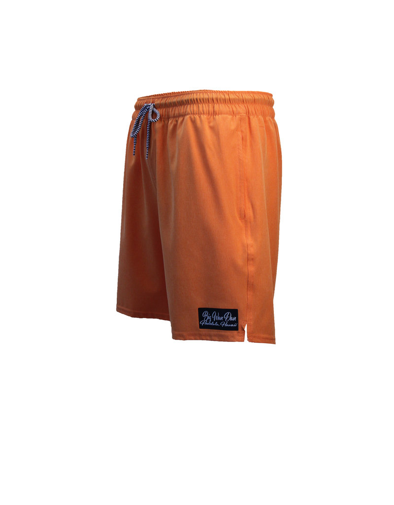 Big Wave Dave BWD Ace Boardshorts