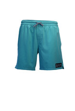 Big Wave Dave BWD Ace Boardshorts