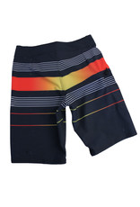 Big Wave Dave BWD Boys Depart Boardshorts