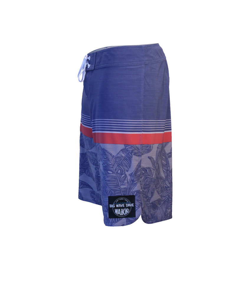 Big Wave Dave BWD Visual Boardshorts