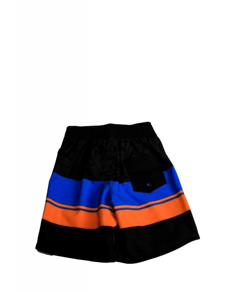 Big Wave Dave BWD Toddle Caribe Boardshorts