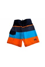 Big Wave Dave BWD  Toddler Apex Boardshorts