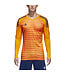 Adidas Adipro 18 Goalkeeper Jersey