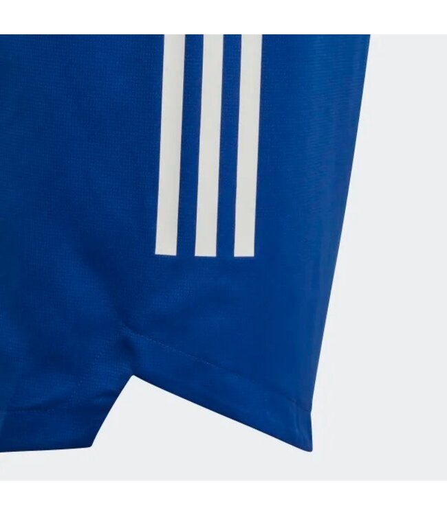 Adidas Condivo 20 Shorts Youth