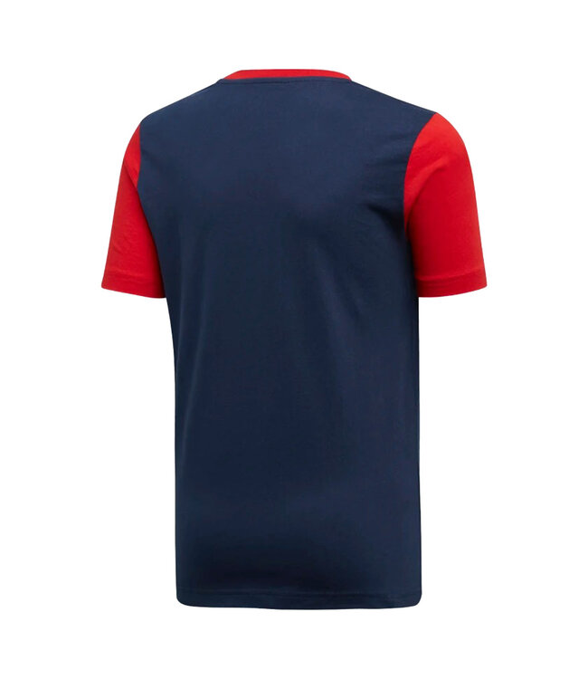 Adidas Arsenal 19/20 Graphic Tee Youth