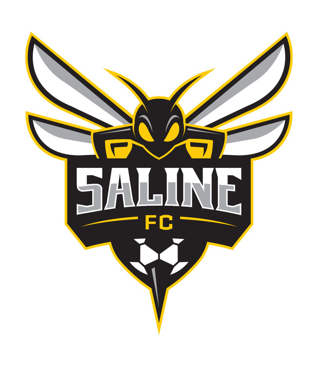 Saline Hornet Decal