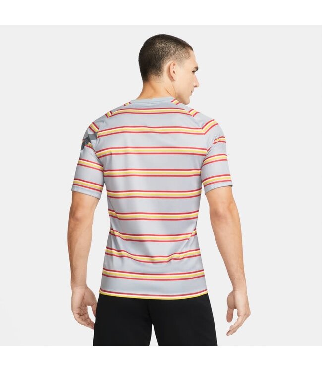 Nike Liverpool 21/22 Prematch Jersey (Gray)