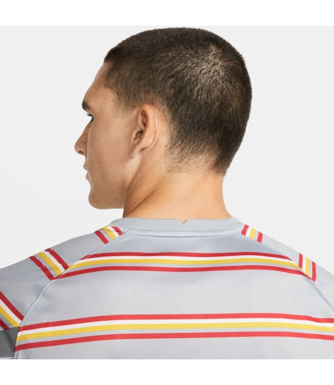 Nike Liverpool 21/22 Prematch Jersey (Gray)