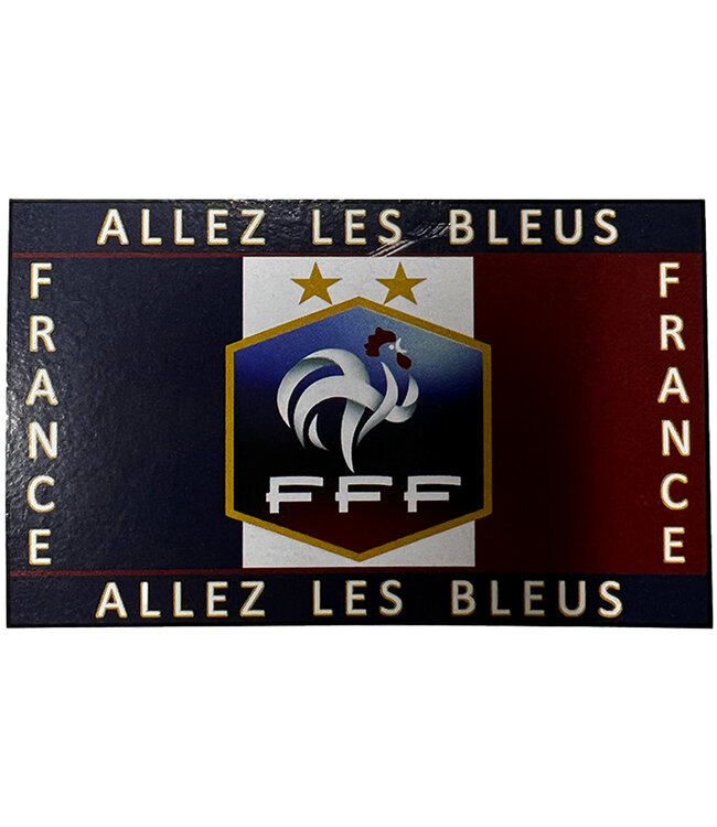 Team Flag France