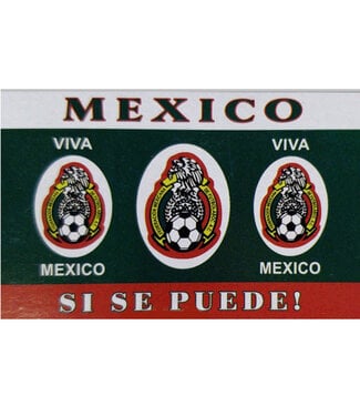 TEAM FLAG MEXICO