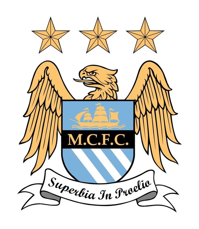 Team Window Cling Manchester City