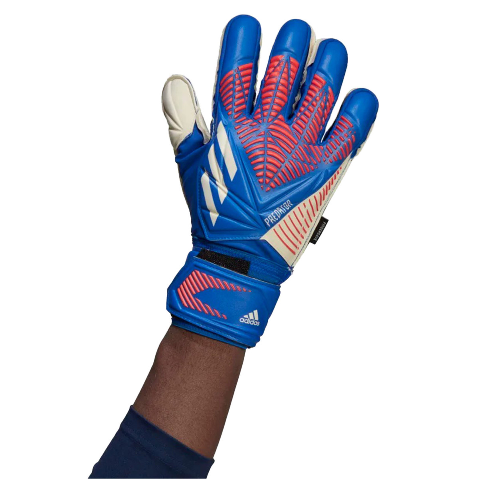 gloveworks softball gloves