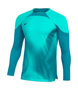 Nike GARDIEN IV GK JERSEY (TURQUOISE)