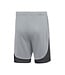 Nike Classic II Short Youth (Gray)