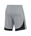 Nike Classic II Shorts (Gray)