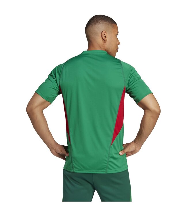 Adidas Mexico 2022 Tiro Training Jersey (Green)