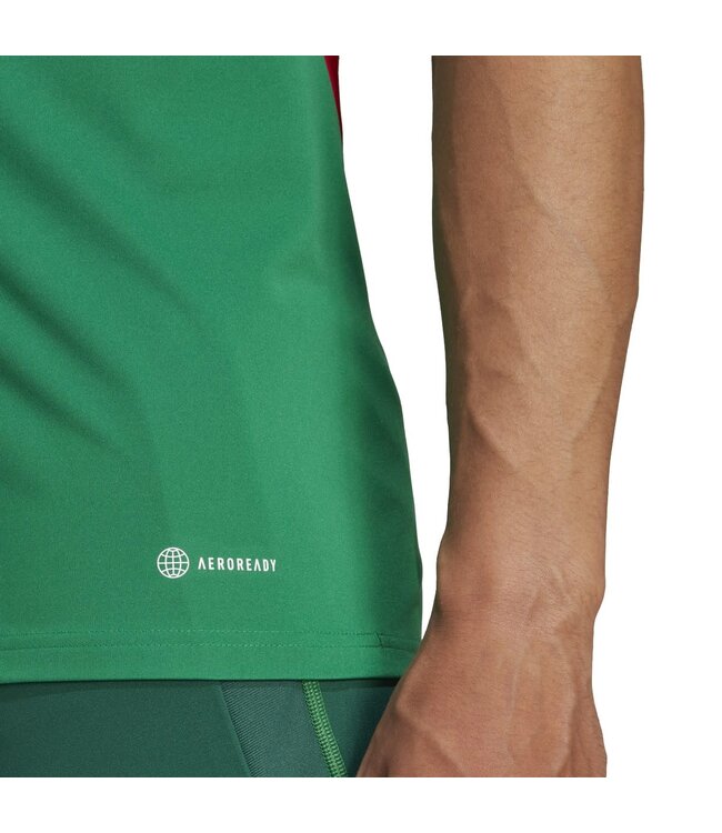 Adidas Mexico 2022 Tiro Training Jersey (Green)