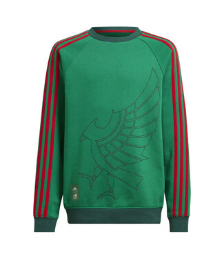 Adidas MEXICO 2022 CREW SWEATSHIRT YOUTH (GREEN)