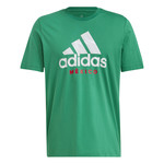 ADIDAS MEXICO 2022 GRAPHIC SS TEE (GREEN)