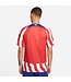 Nike Atletico Madrid 22/23 Home Jersey (Red/White)