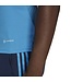 Adidas Argentina 2022 Tiro Training Jersey (Blue)